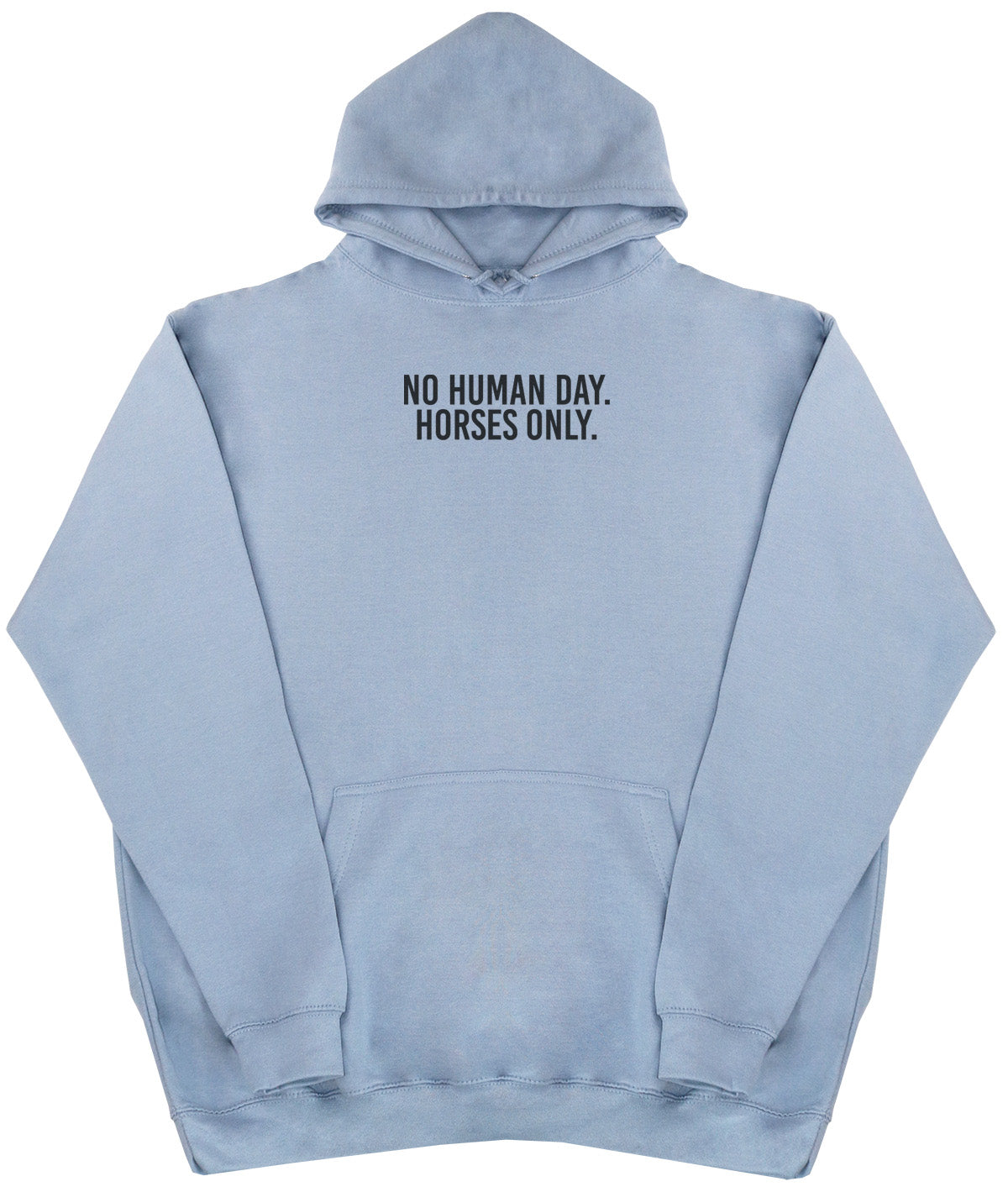 No Human Day. Horses Only - New Style - Oversized Comfy Hoody